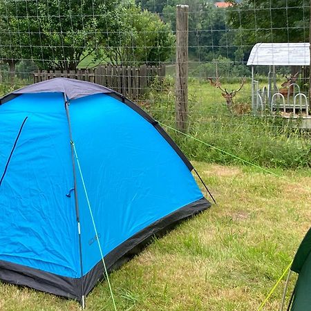 Camping F Selbstversorger Gut Jagerhof Semriach 外观 照片